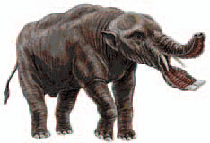 definition mastodonte