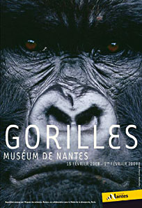 Exposition Gorilles à Nantes