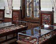 Salle Piette Restauration