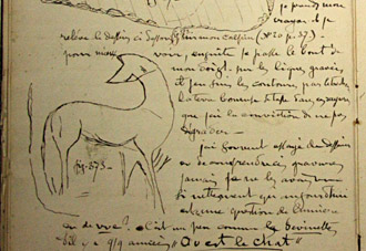 Page extraite du carnet d'excursion de F. Dalleau lors de ses visites &agrave; la grotte de Pair-non-Pair