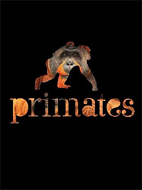 Primates