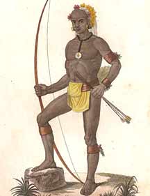 Archer Vanikoro