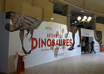 Entrée Autour des dinosaures