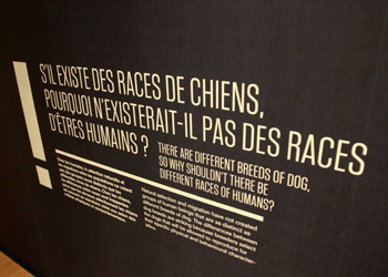 Il n'y a qu'une seule race humaine