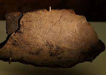 Ours et homme gravés - Grotte du Péchialet