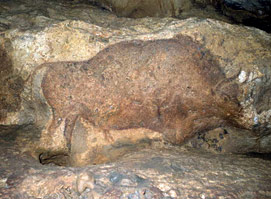 Bison - Grotte de Font-de-Gaume