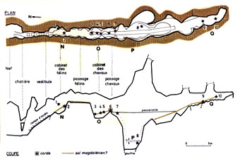 Plan de Lascaux par l'Abbé Glory