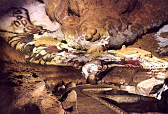 Salle des taureaux - Lascaux