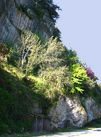 Falaise Laugerie-Haute 