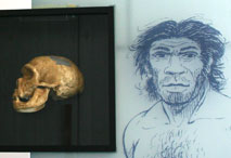 Homo Neanderthalensis - Muse de la prhistoire Nemours