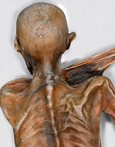 Le sang d'Otzi 