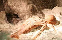 Otzi pris dans les neiges du glacier