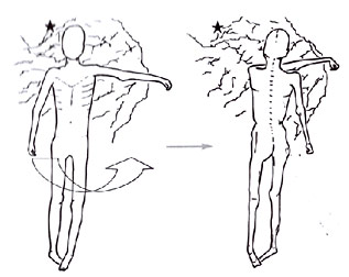 Retournement du corps d'Otzi dans le glacier