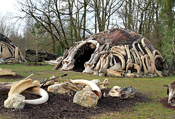 Hutte de néandertalien en os de mammouth