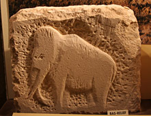 Technique du bas relief utilisée à Cap Blanc