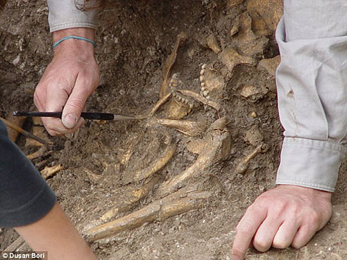 La'étude de a dentition doànne des informations sur le menu des hommes du mésolithique