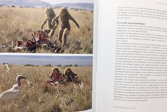 Repas de chasse chez les austraopithèques