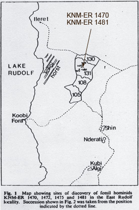 Lieu de la découverte de KNM-ER 1470 - Document original écrit par R. Leakey dans Nature en 1973