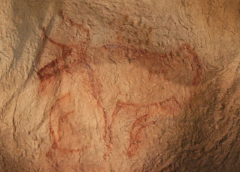 Aurochs de la tête de Lion - Bidon - Ardeche