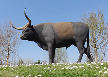 Aurochs - Paléosite