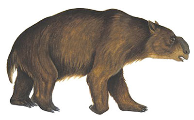 Diprotodon disparu