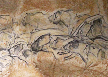 Lions des cavernes - Grotte Chauvet