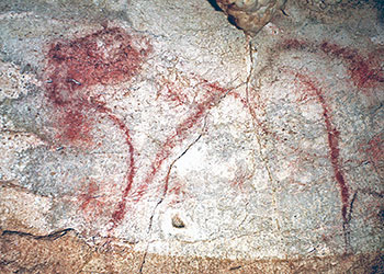 Lion des cavernes - Grotte du Combel - Pech Merle