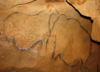 Mammouth et cheval - grotte de Mayenne Science