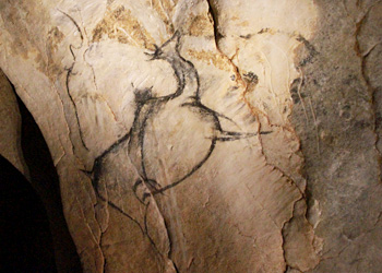 Mégacéros ppeint dans la Grotte Chauvet