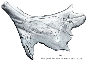 Cerf gravé dur bois de renne - Grotte du Mas d'Azil - Collection Piette