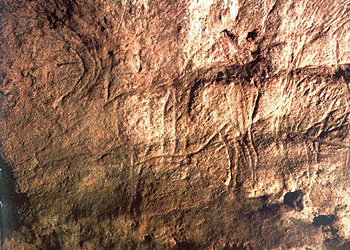 Renne Grotte des Combarelles