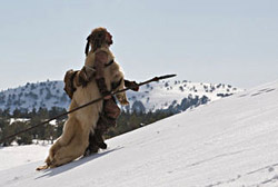 Ao avance dans la neige