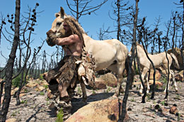 Néandertal chasse le cheval