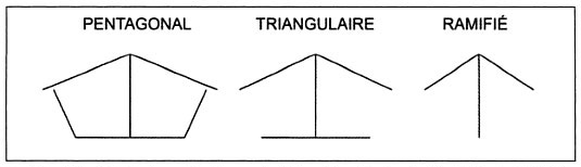 Diféfrentes sortes de tectiformes