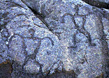 Petroglyphes près du Kilauea à Hawaii