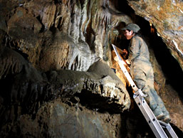 Relevé d'un pouce humain - grotte Margot