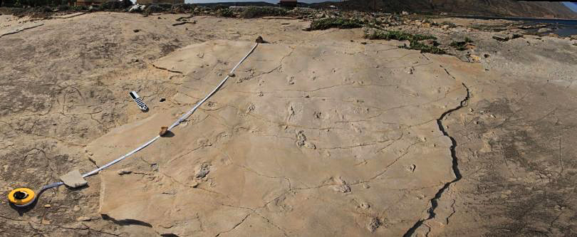 Traces de pas à Trachilos il y a 5,7 Ma en Crête