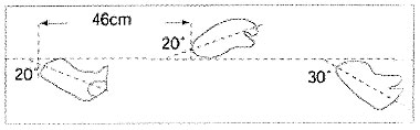 Disposition de trois empreintes à Laétoli, Tanzanie, Afrique