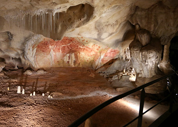 Paumes rouges grotte Chauvet