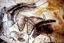 Chevaux - Grotte Chauvet