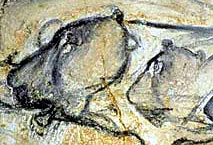 Lionnes - Grotte Chauvet