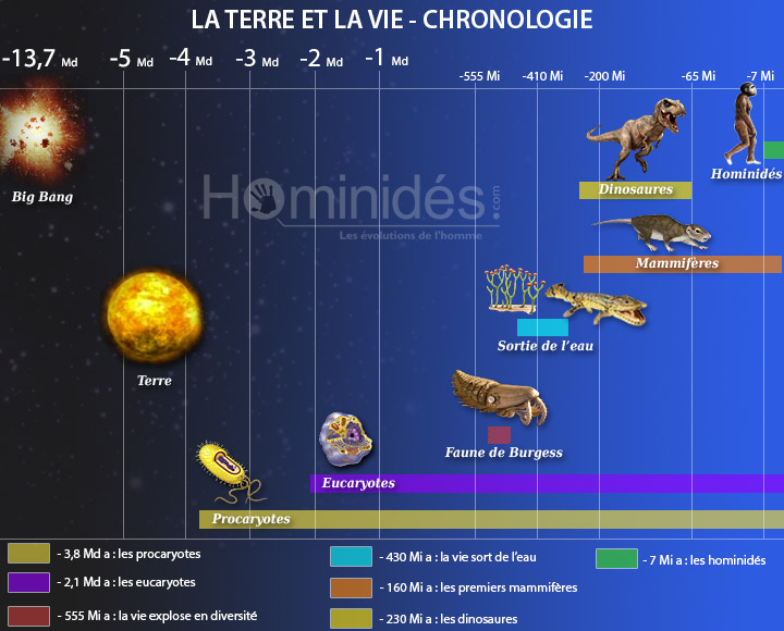 Chrologie de la terre et de la vie