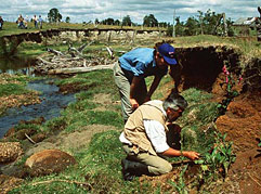 Fouilles surle site de Monte-Verde au Chili