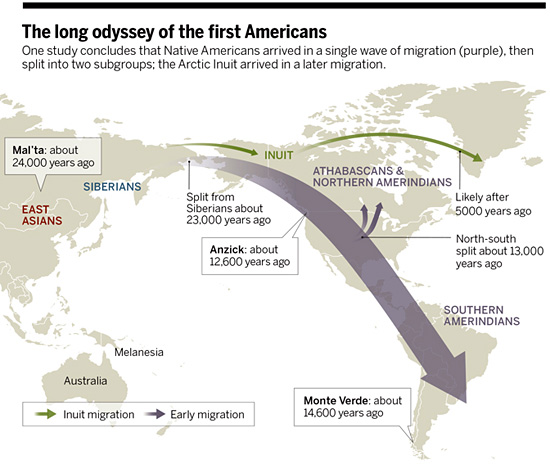 Une seule vague d'immigration en Amerique il y a 23 000 ans