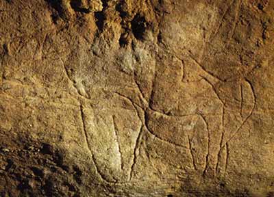 Figures féminines et pubis de la grotte des Combarelles