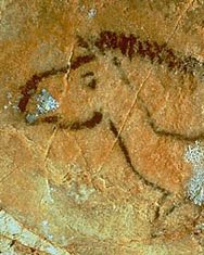 Cheval de profil - grotte Cosquer