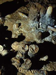 Stalagmites cassés - Grotte Cosquer