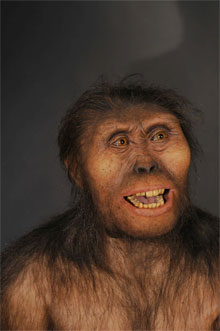 Lucy - australopitheque