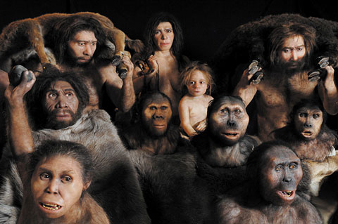 Tableau de famille des hominides reconstruits par Elisabeth Daynes 