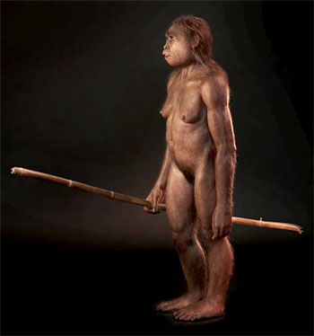 Homo floresiensis - Daynes